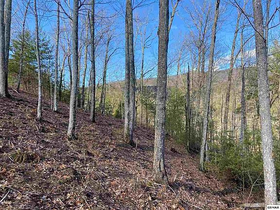 4th image of 108 Smoky Vista Way Lot 108.00