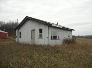 7807 Reynolds Rd, Elmira, MI 49730