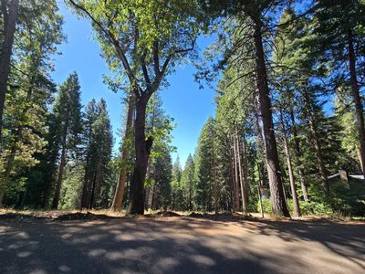 3224 York Ct, Pollock Pines, CA, 95726