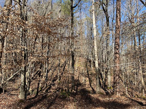 5th image of 0 Tutwiler Rd