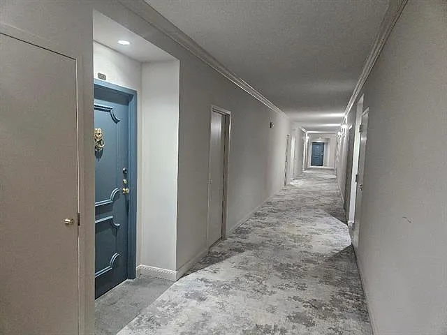 1 bed, 1.0 bath, 1003 sqft, $2,250 — Photo 2