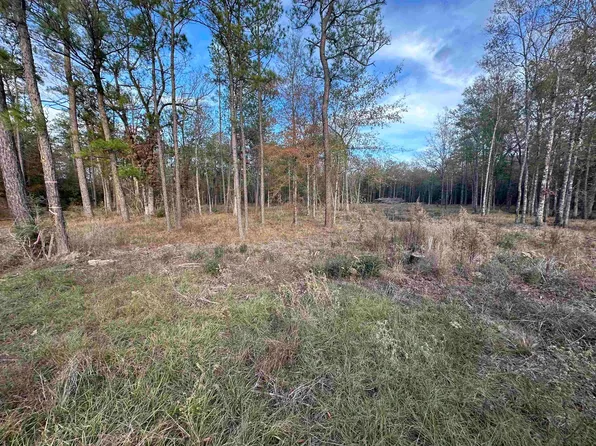 10499 County Rd #701, Buna, TX 77612