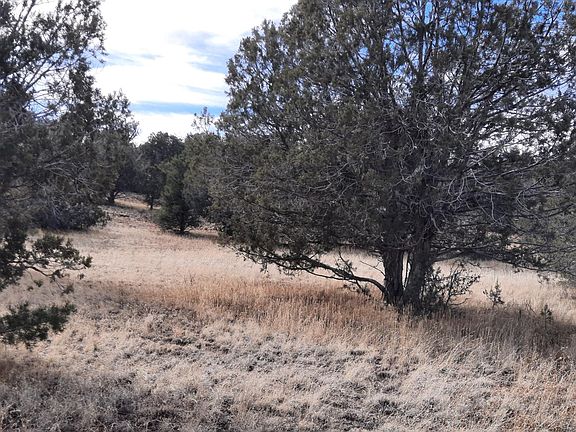 2nd image of 54832 N Via De Oro Pkwy