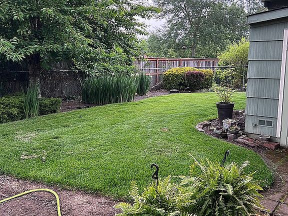 Backyard 3
