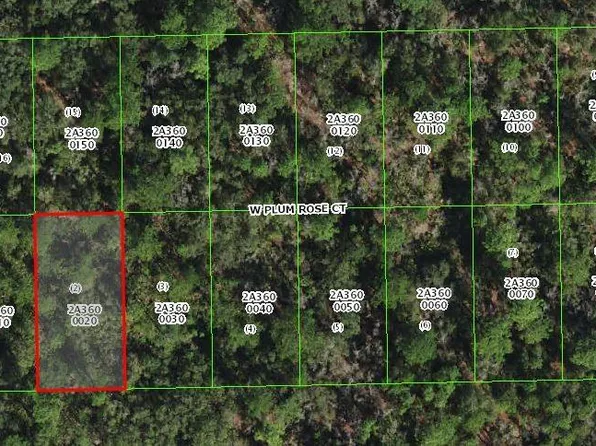 9848 W Plum Rose Ct #2, Crystal River, FL 34429