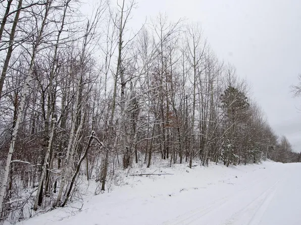 Sheridan Woods Ln NE, Outing, MN 56662