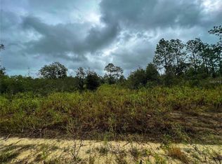 5451 NE 141st Ter, Williston, FL 32696