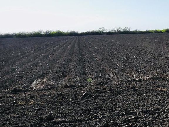 2nd image of 0 San Roman Rd