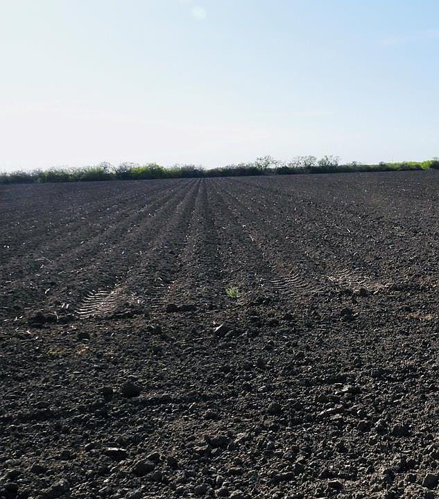 2nd image of 0 San Roman Rd