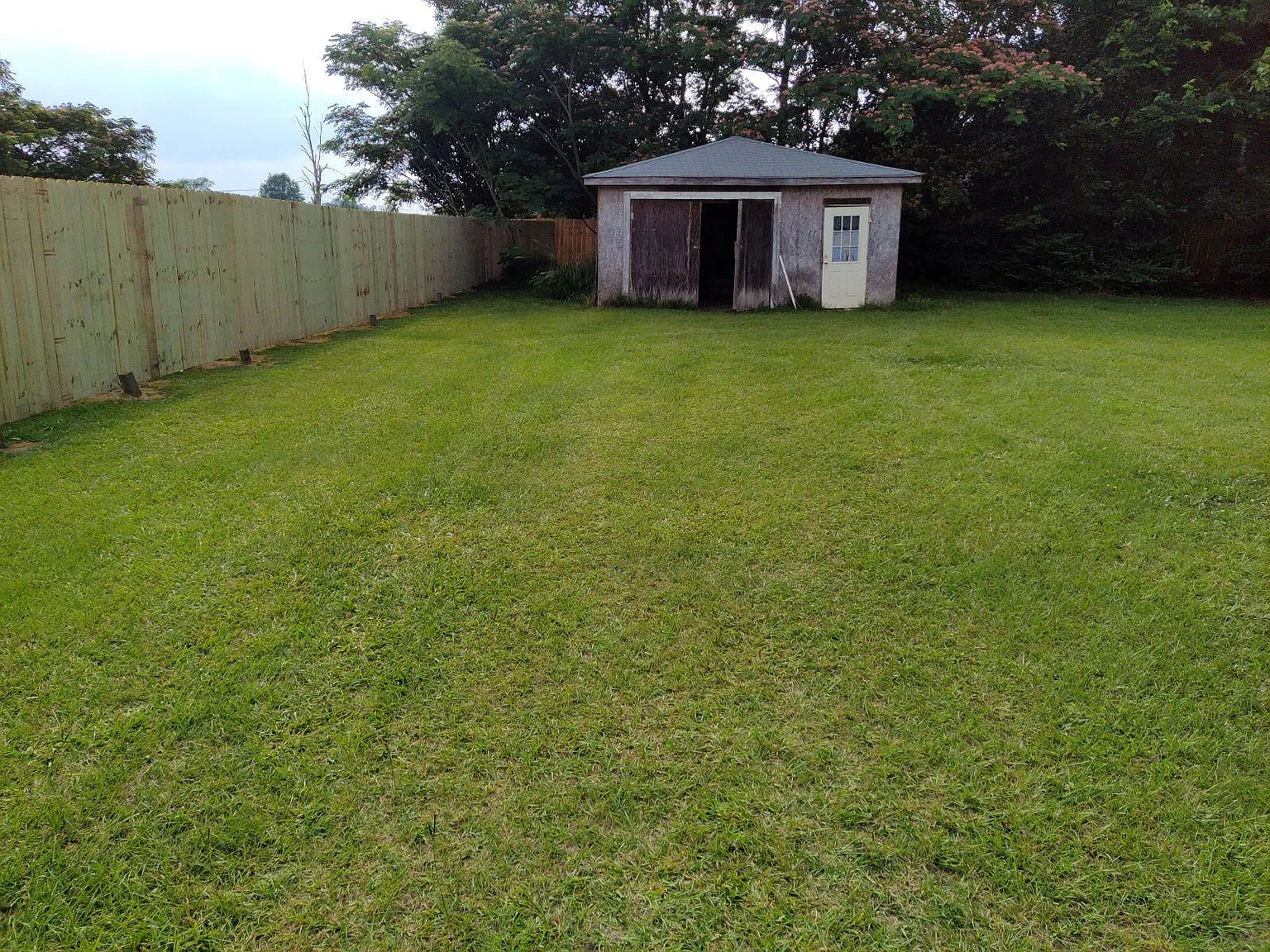 54 Wilson Lucas Rd — Photo 3