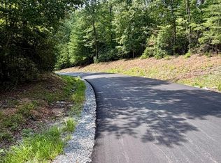 1 S Blue Horizon Dr, Blue Ridge, GA 30513