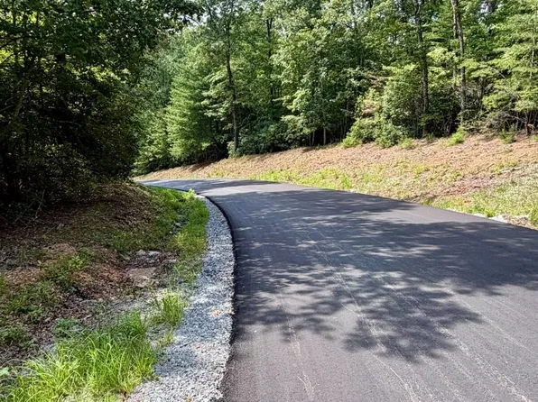 1 S Blue Horizon Dr, Blue Ridge, GA 30513