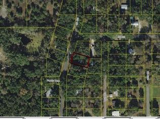 2913 County Road 423, Lake Panasoffkee, FL 33538