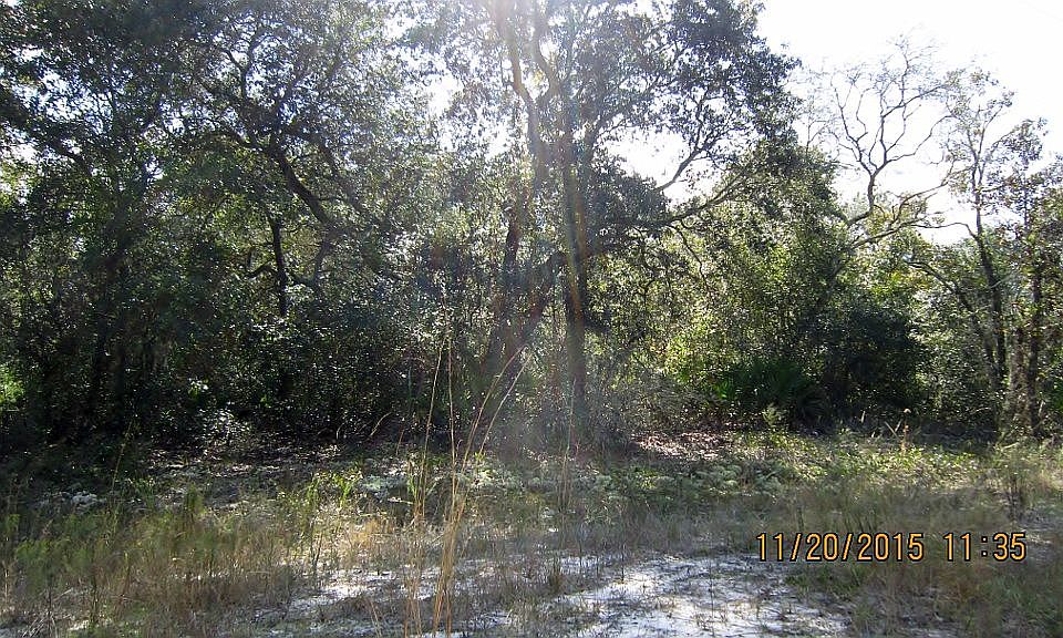 1st image of 102 Lake Cir