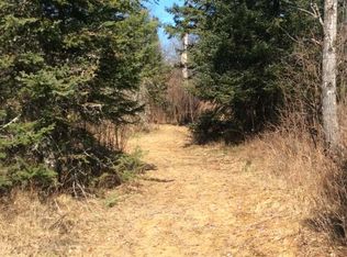9336 N Phalzgraff Rd, Tomahawk Town, WI 54565