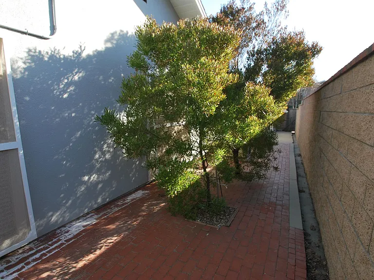 3001 Coleridge Dr — Photo 23