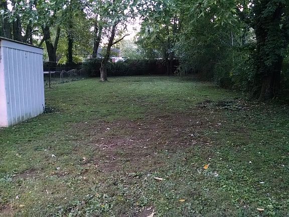 Back yard