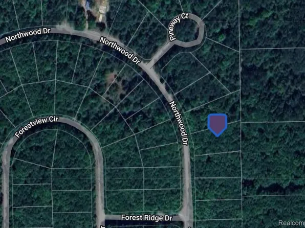 0 Northwood Dr, Elmira, MI 49730