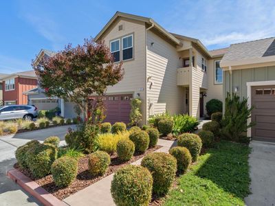 124 Grayson Way, Healdsburg, CA, 95448