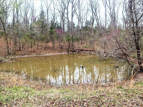 5th image of 10152 Kelemen Farms W