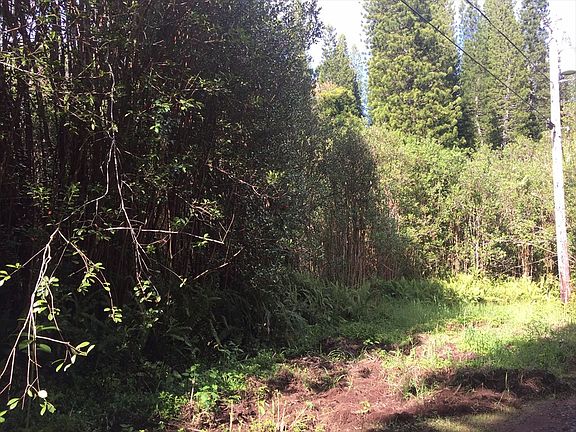 4th image of Napua St Lot 20