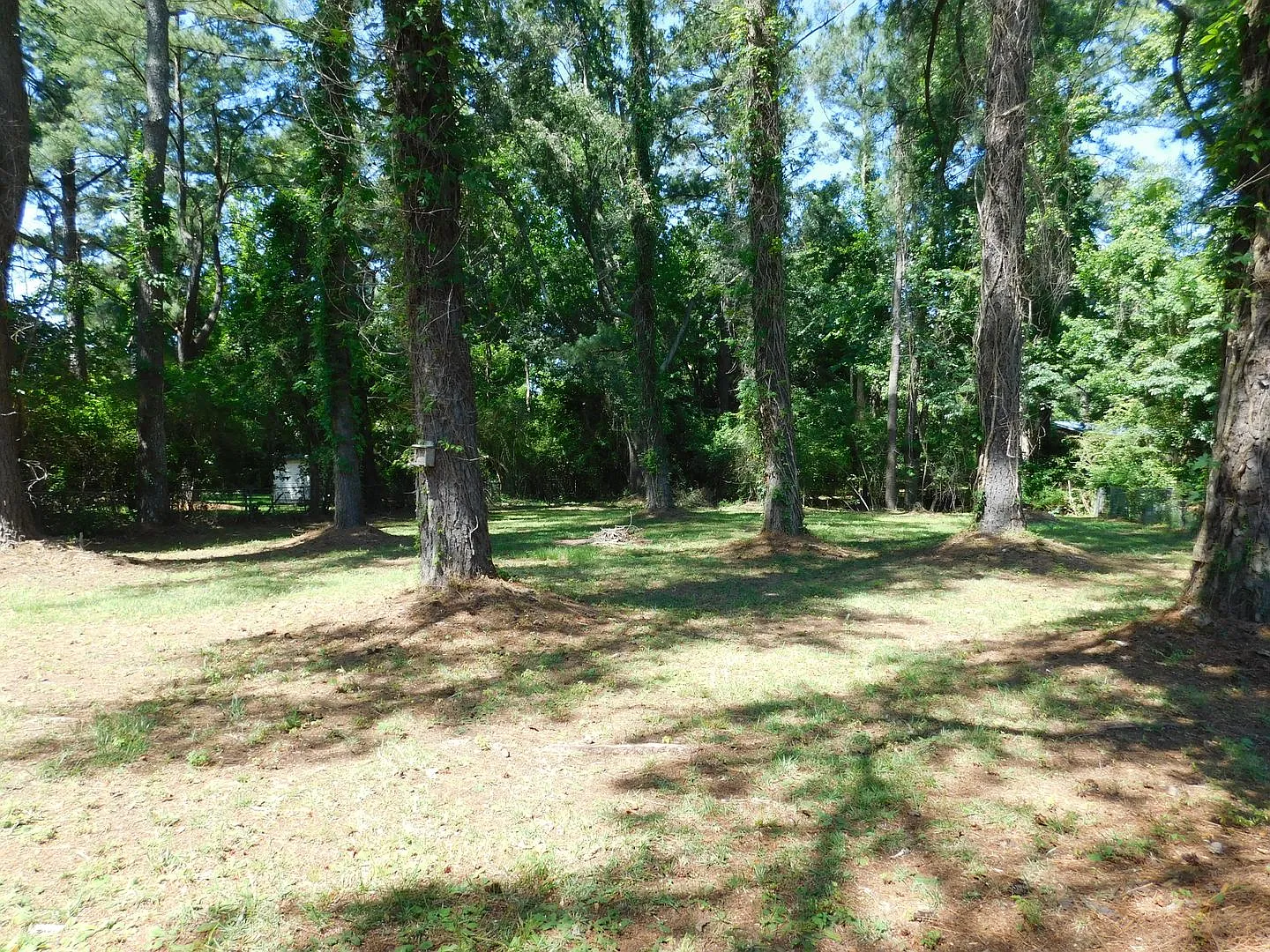 4004 Brandywine Drive conveniently located between Historic New Bern & MCAS Cherry Point! — Photo 2