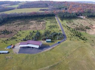 9877 Rowe Rd, Dansville, NY 14437