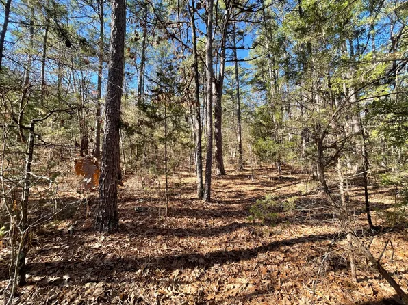 215 Tram Trl #R, Moyers, OK 74557