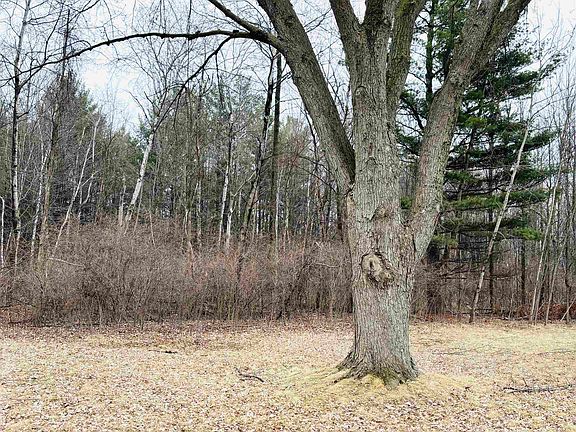 2nd image of 2594 Kaiser Rd