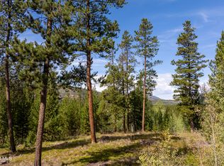2376 Gcr 511/golf Course Cir, Tabernash, CO 80478