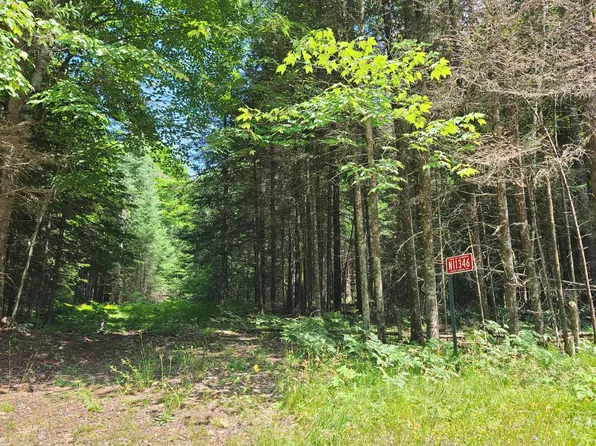 N11346 Rocky Carrie Rd, Phillips, WI 54555