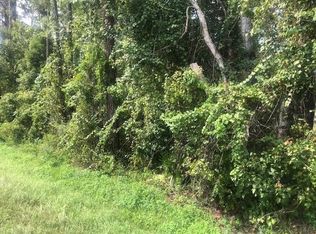 0 State Rd #33, Clermont, FL 34711