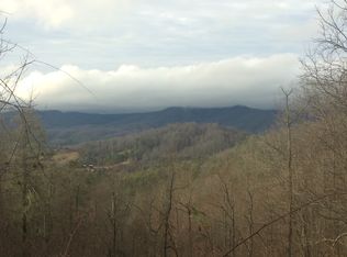 828 Sapling Mountain Rd, Marshall, NC 28753