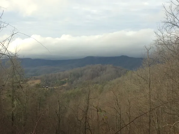 828 Sapling Mountain Rd, Marshall, NC 28753