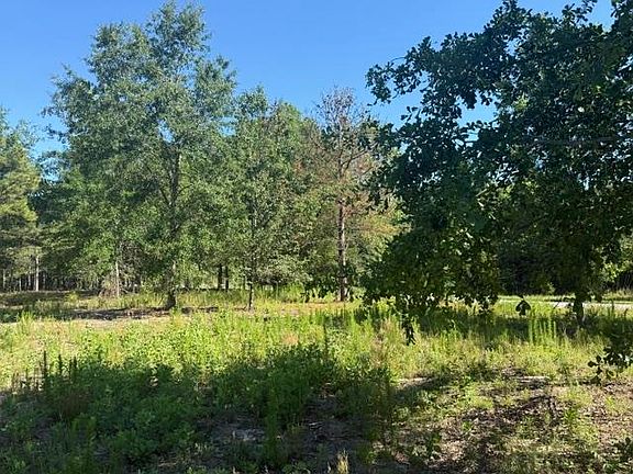 4th image of 491 Crow Ln. #Crow Burk Road (60 acres)