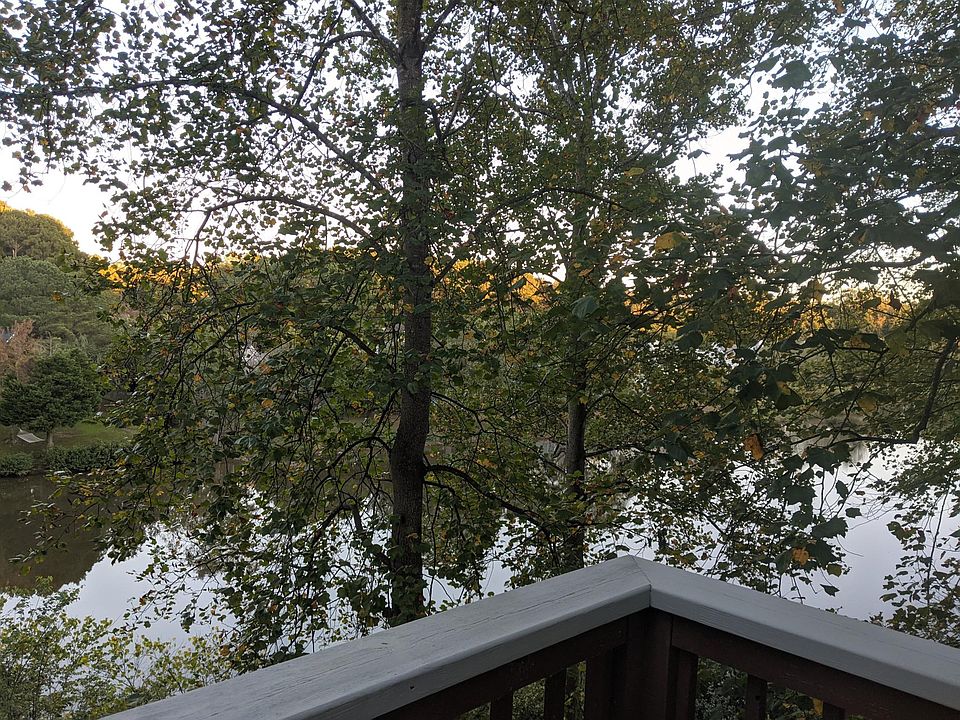 View from back deck.