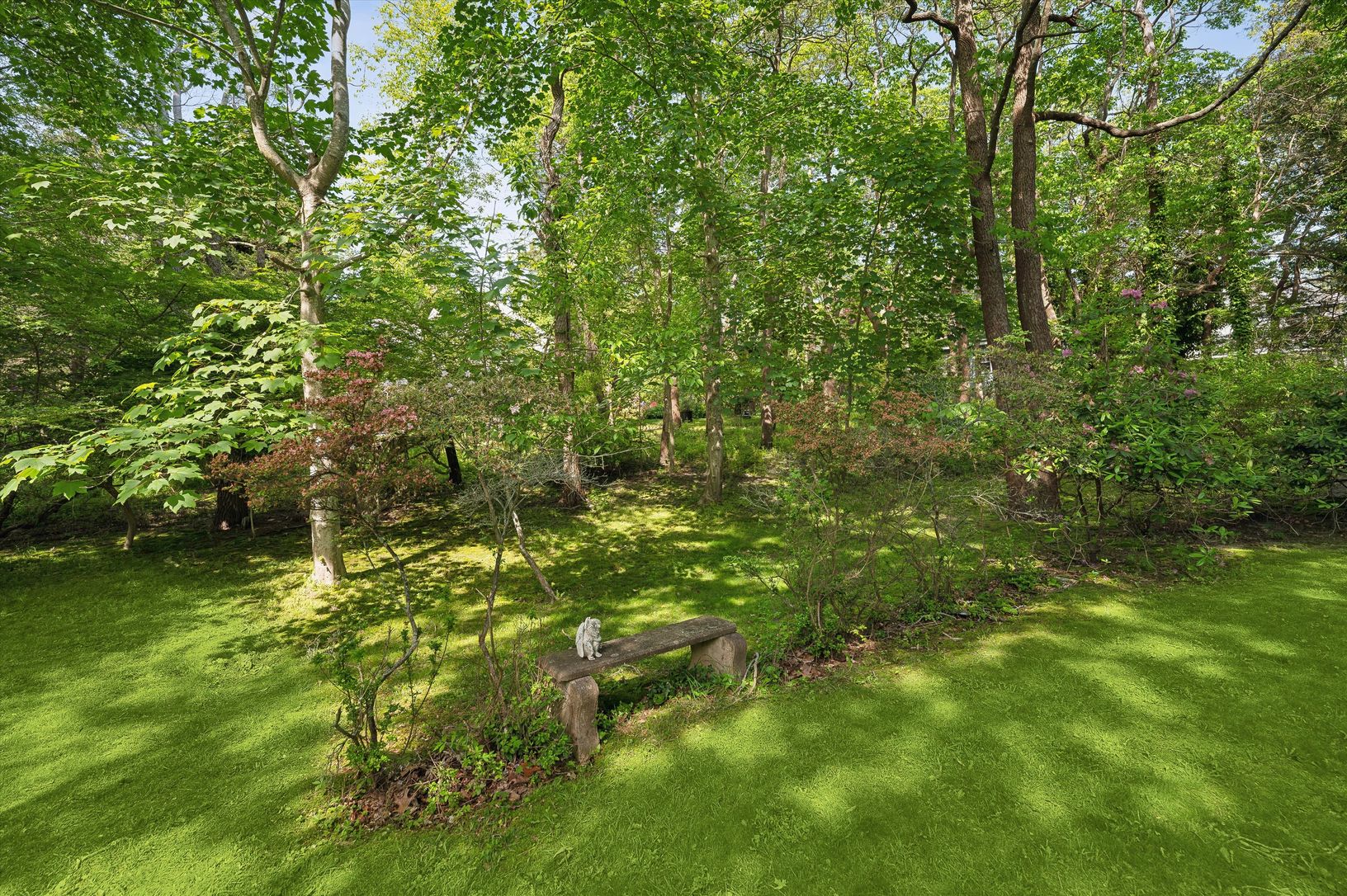  Beautiful Yard