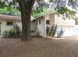 225 Ball Park Ave, Seffner, FL 33584