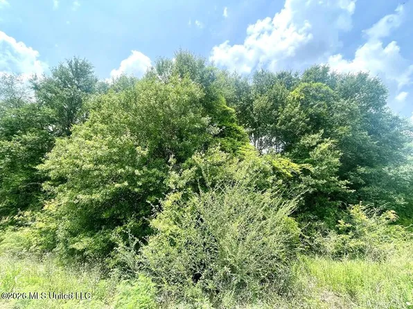 No Theodore Dr Lot 26, Poplarville, MS 39470