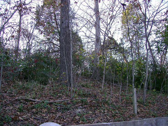 4th image of 2505 Santa Cruz Dr