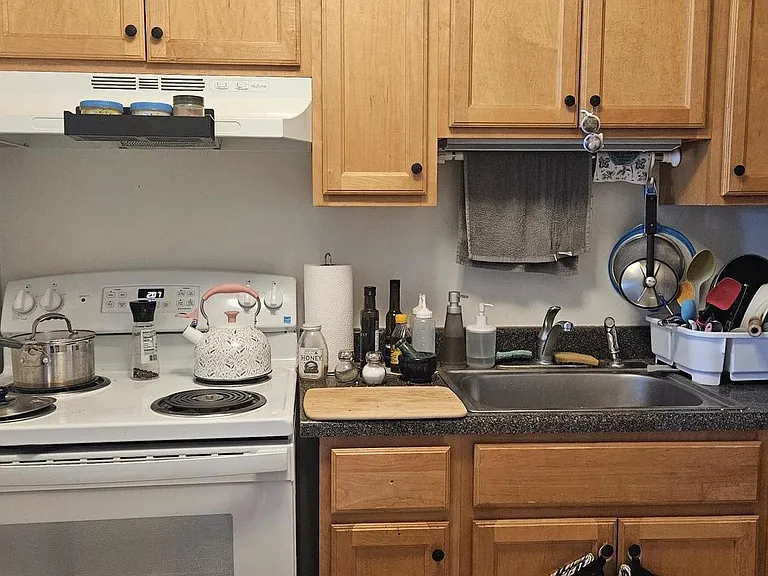 555 W Cornelia Ave #809 — Photo 3