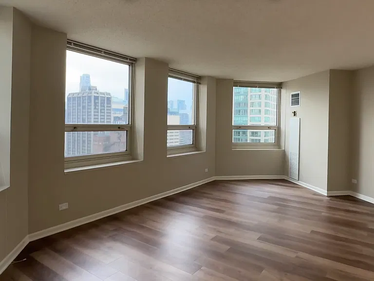 745 N Rush St #3203 — Photo 2