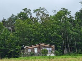 377 Williams Rd, Windsor, NY 13865