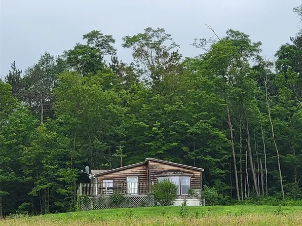 377 Williams Rd, Windsor, NY 13865