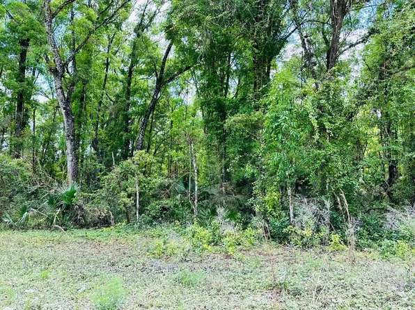 0 NE 400th Ave, Old Town, FL 32680