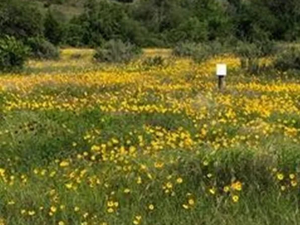 207 Verbena Ct, Johnson City, TX 78636