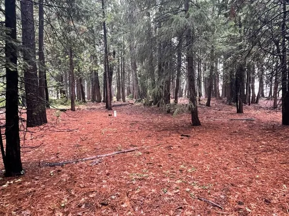(undisclosed Address), Alta, CA 95701