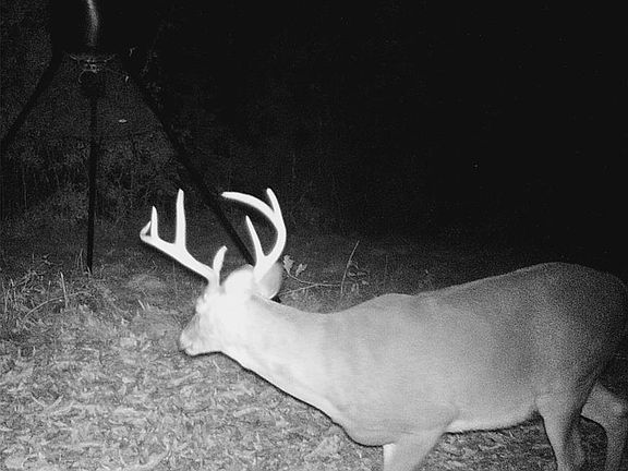 3rd image of 7413 Davenport Hwy