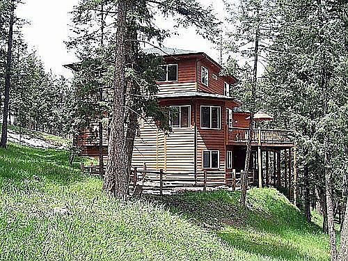 Luxury in the Woods