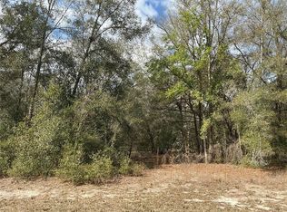 9299 Goodstone Dr Lot 9, Webster, FL 33597